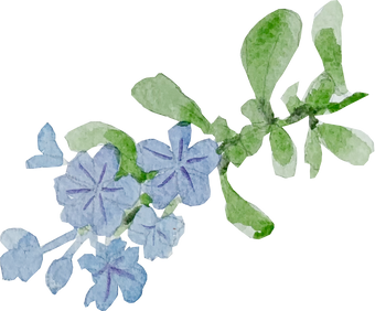 Blue Flowers Illustration